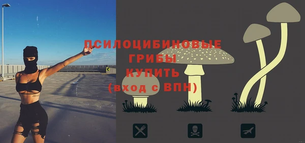 a pvp Армянск