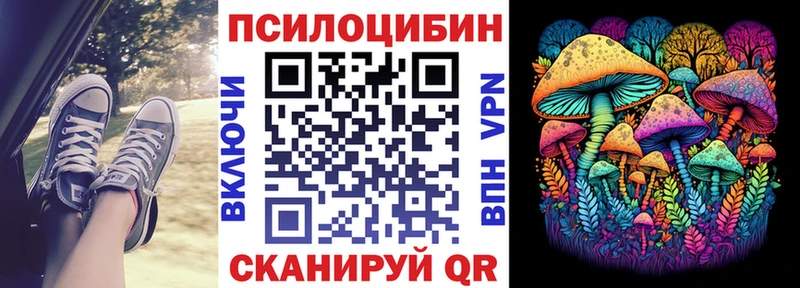 гидра как войти  закладки  Саров  Галлюциногенные грибы Cubensis 